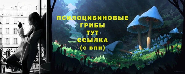 тгк Балахна